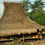 Contoh Rumah Adat Dari Ntt